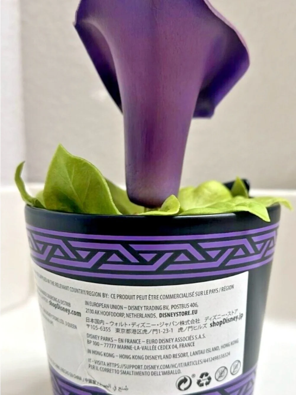 Wakanda Purple Flower Accent in Black Planter
